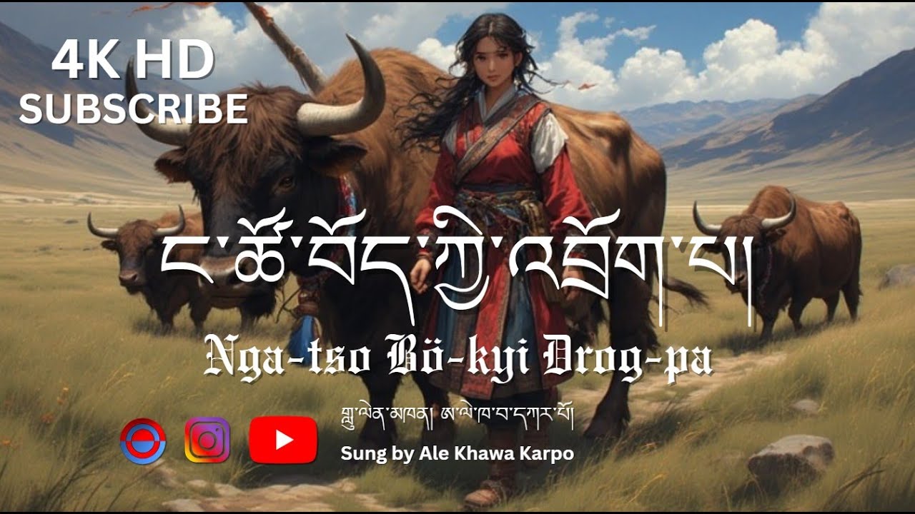 Tibetan Song 2026 / Nga-tso Bö-gi drog-pa / ང་ཚོ་བོད་ཀྱི་འབྲོག་པ། Viral New Song 2026 #tibetansong