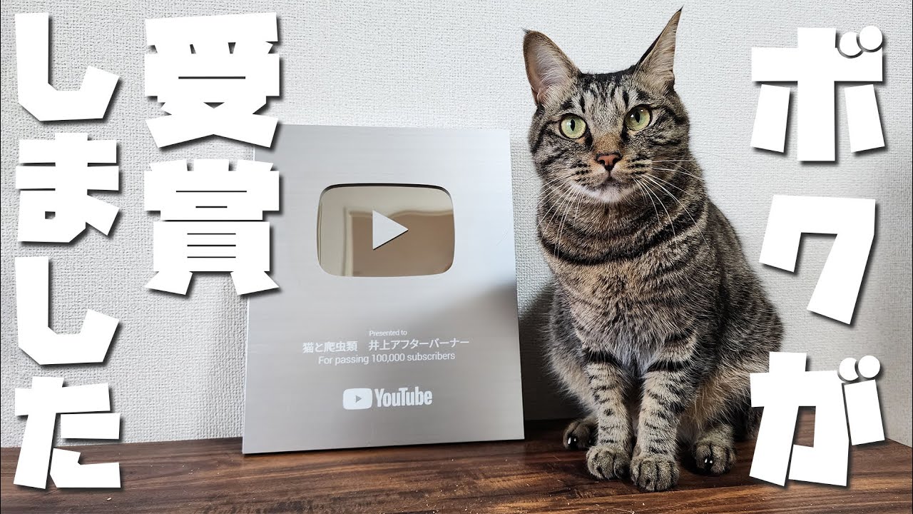 感謝の10万人