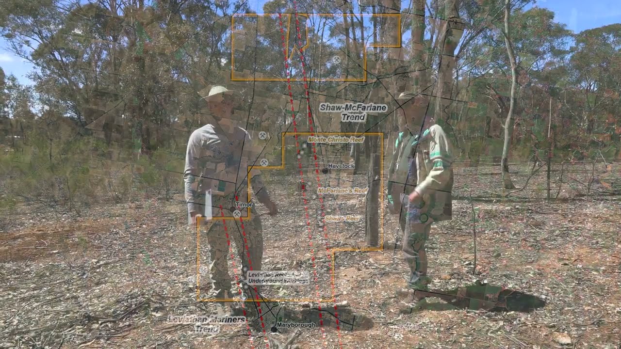 An introduction to Au Gold's Havelock gold-antimony project, Victoria, Australia.