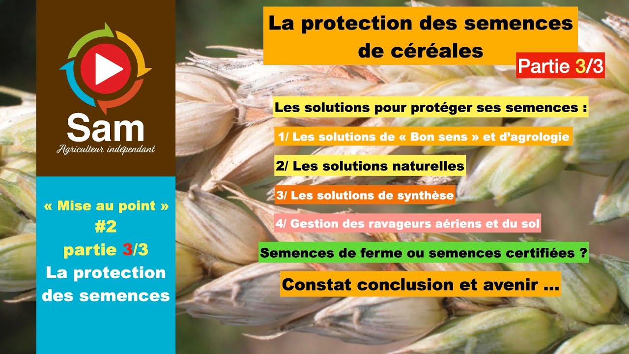 Mise au point #2.Partie 3/3. La protection de semences.Maladies et ravageurs : Quelles solutions ?