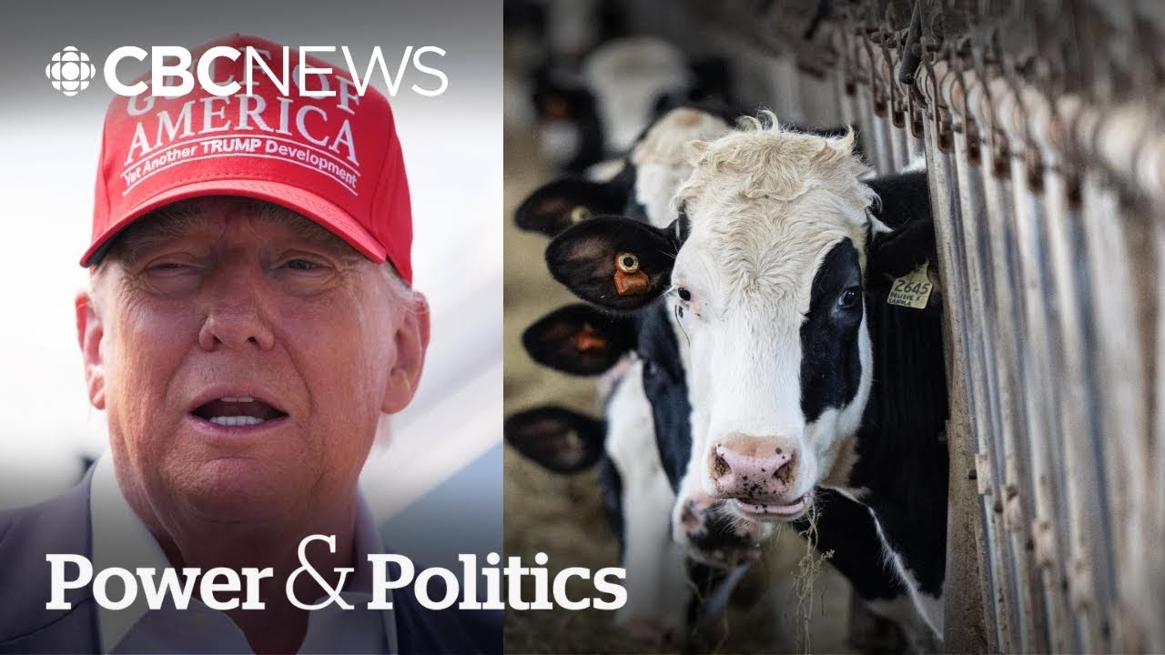 Is Canada&rsquo;s dairy industry under threat by Trump's trade talks? | Power & Politics