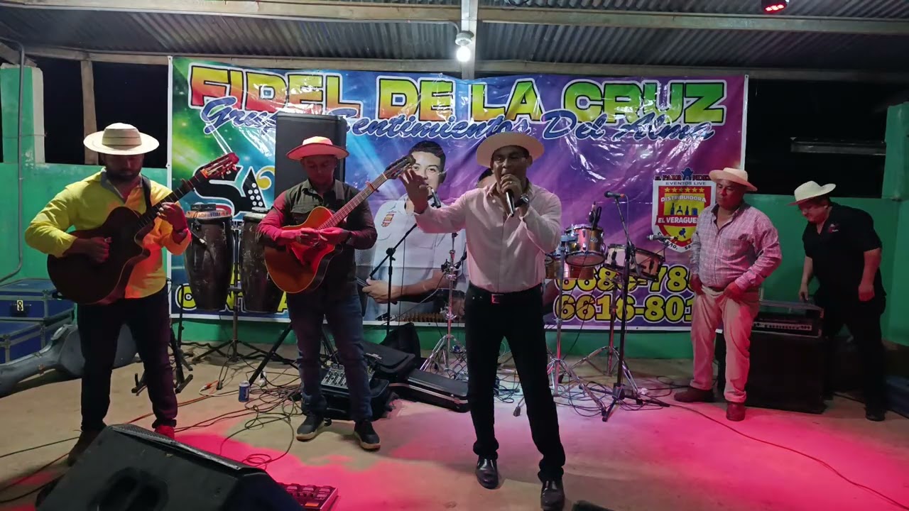 LLANTO Y GALLINO PICAO EN EL CEDRAL DE LA MESA ARMANDO  A VS Ernesto OJO Y ALBI SANBRANO 