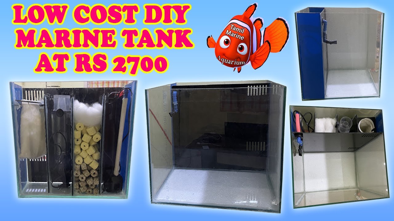Cheapest Marine Tank Setup in Home [Tamil]