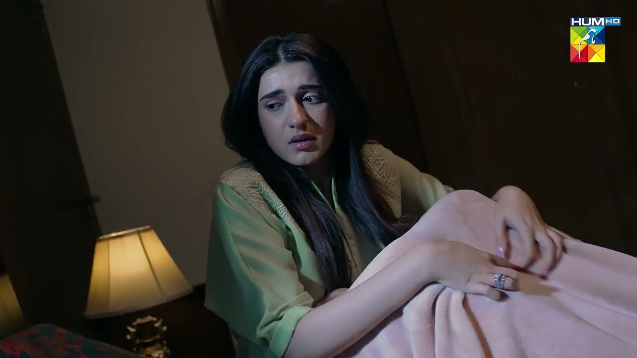 Zenia Ko Howa Galti Ka Ehsas...! Hadd Last Ep | ft. Nabeel Zuberi, Minsa Malik | HUM TV