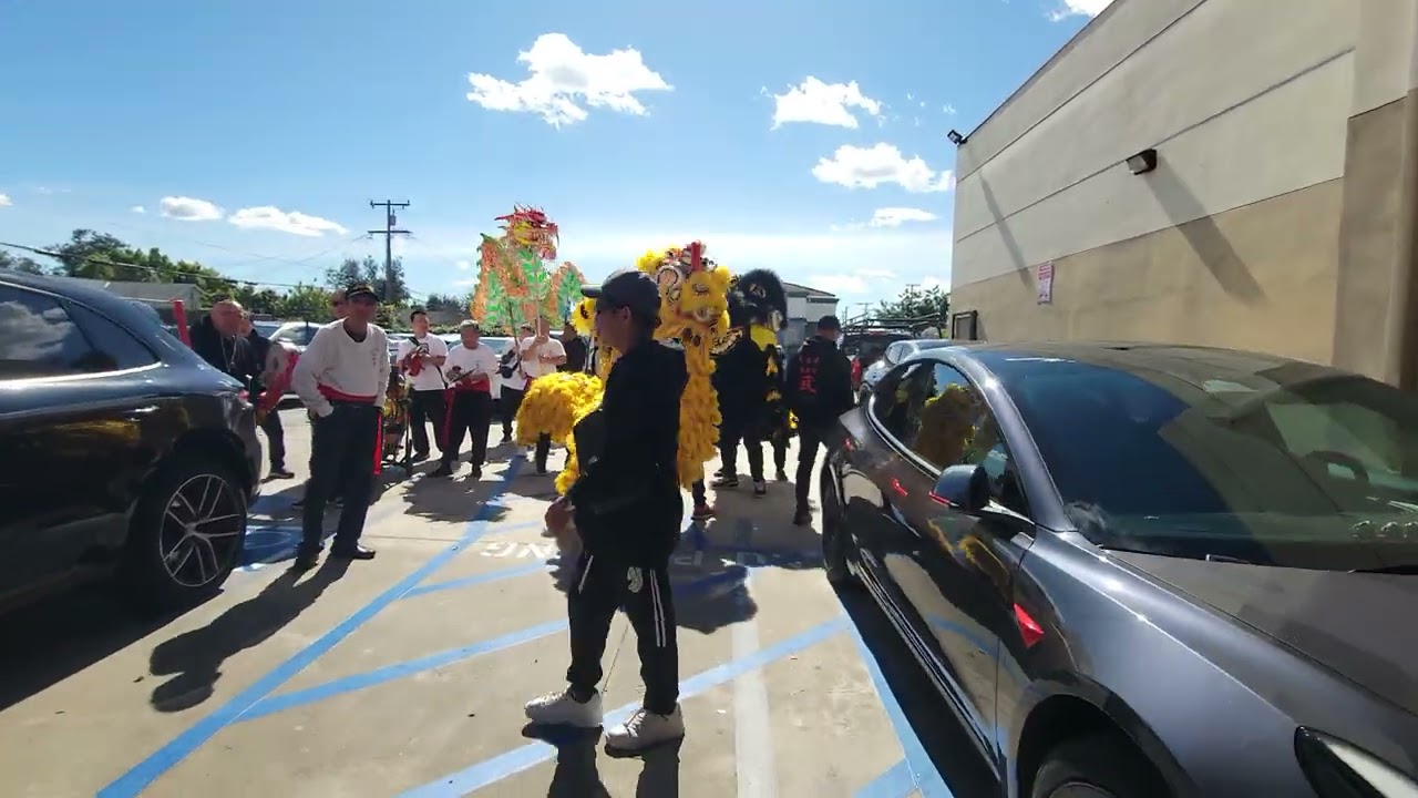 World Seafood catching the lucky money lettuce 