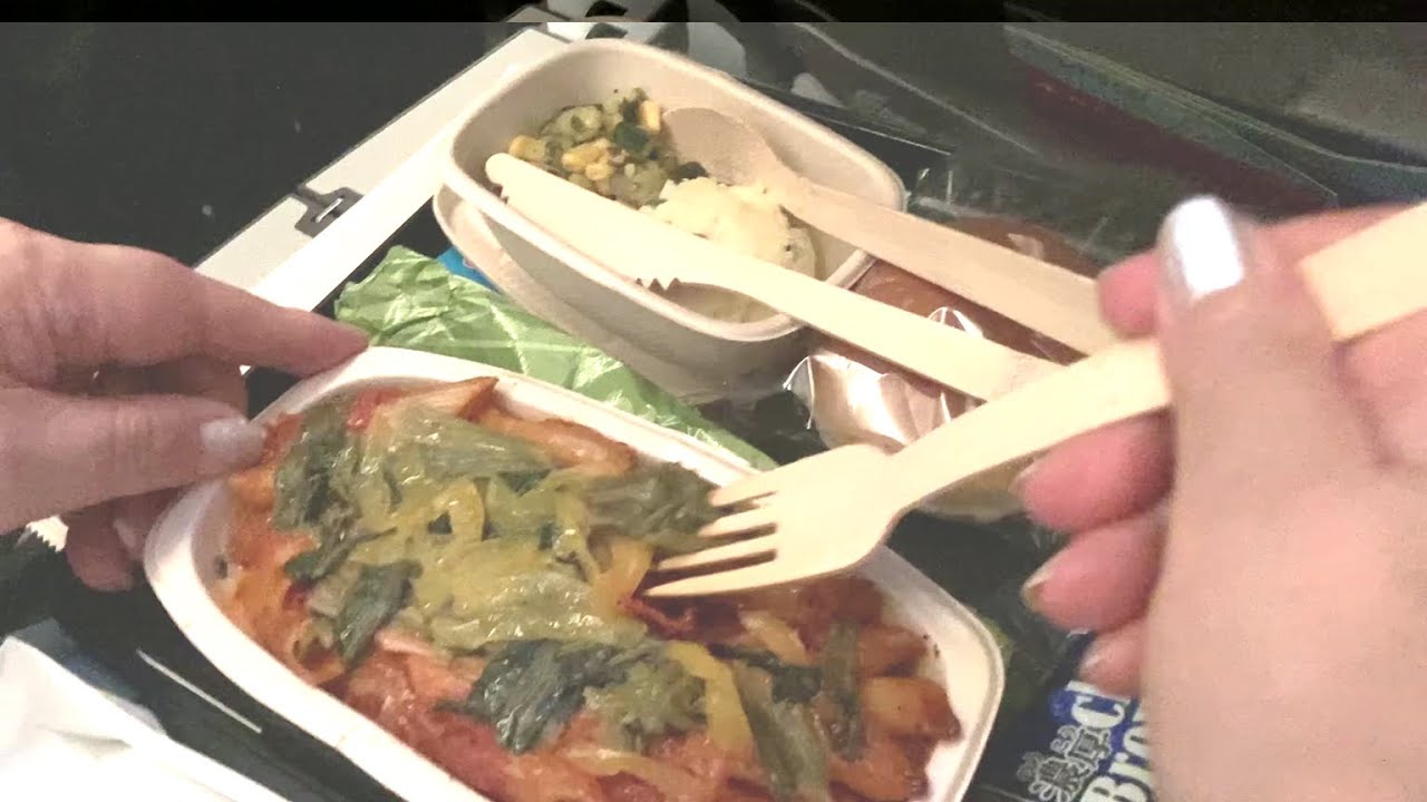 In-flight Meals on Delta Air Lines Tokyo Flight
