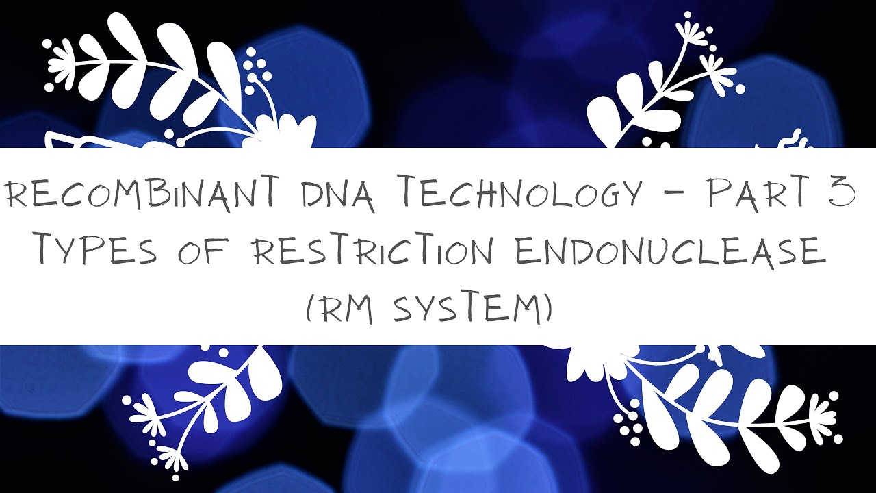 Types of Restriction Modification System