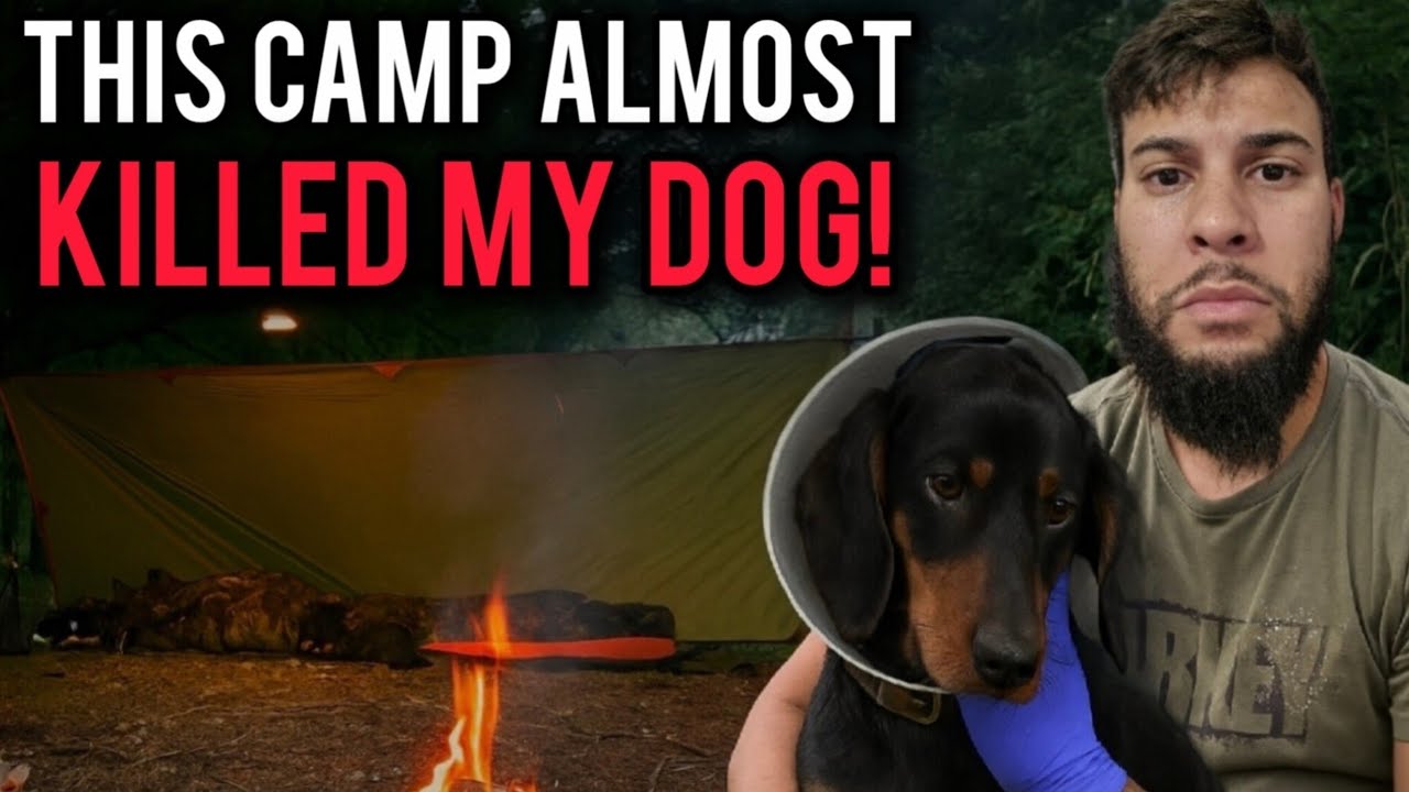 Bushcraft bivvy & tarp could have been thor's last camp 🏕 
