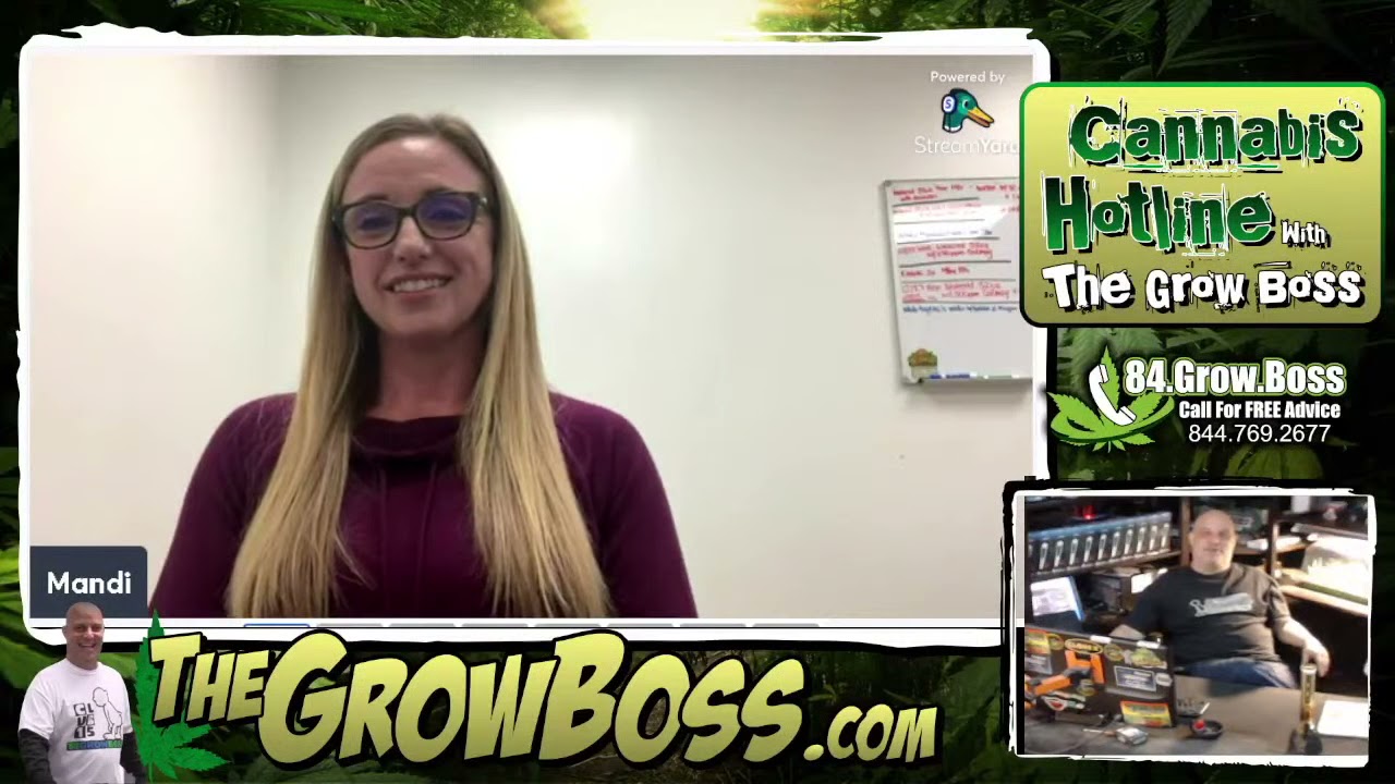 Grow Boss Facility Fix #8 harvest time