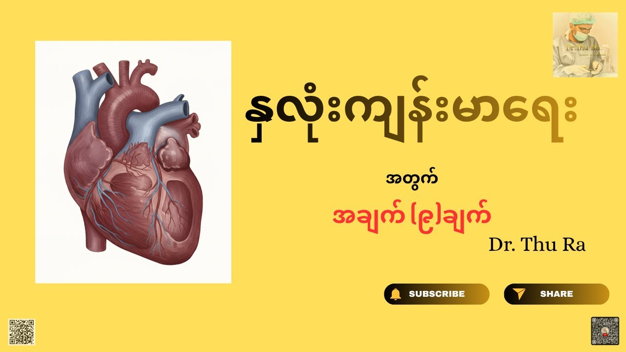 နှလုံးကျန်းမာရေး #ကျန်းမာရေး #drthura #hearthealth