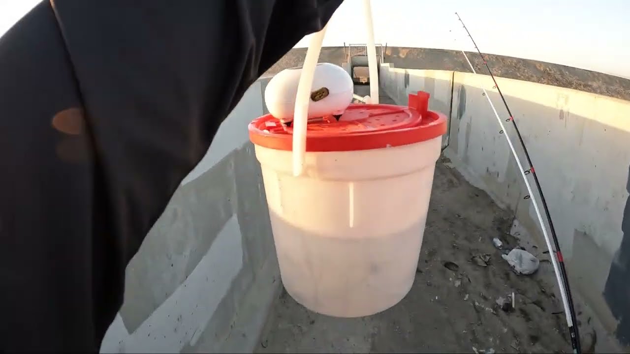 How To Fish The California Aqueduct Golf Course Gates, Using Minnows (Striped Bass)#fishing#aqueduct