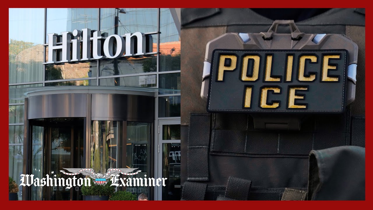Сеть отелей Hilton лишилась франшизы в Миннеаполисе после того, как отель отменил бронирование но...