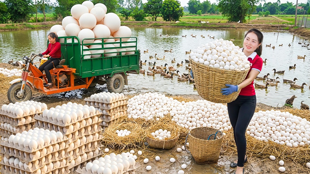 TIMELAPSE | Villagers Somehow Load 5,000+ Duck Eggs onto a Tiny 3 Wheel Truck for Market.