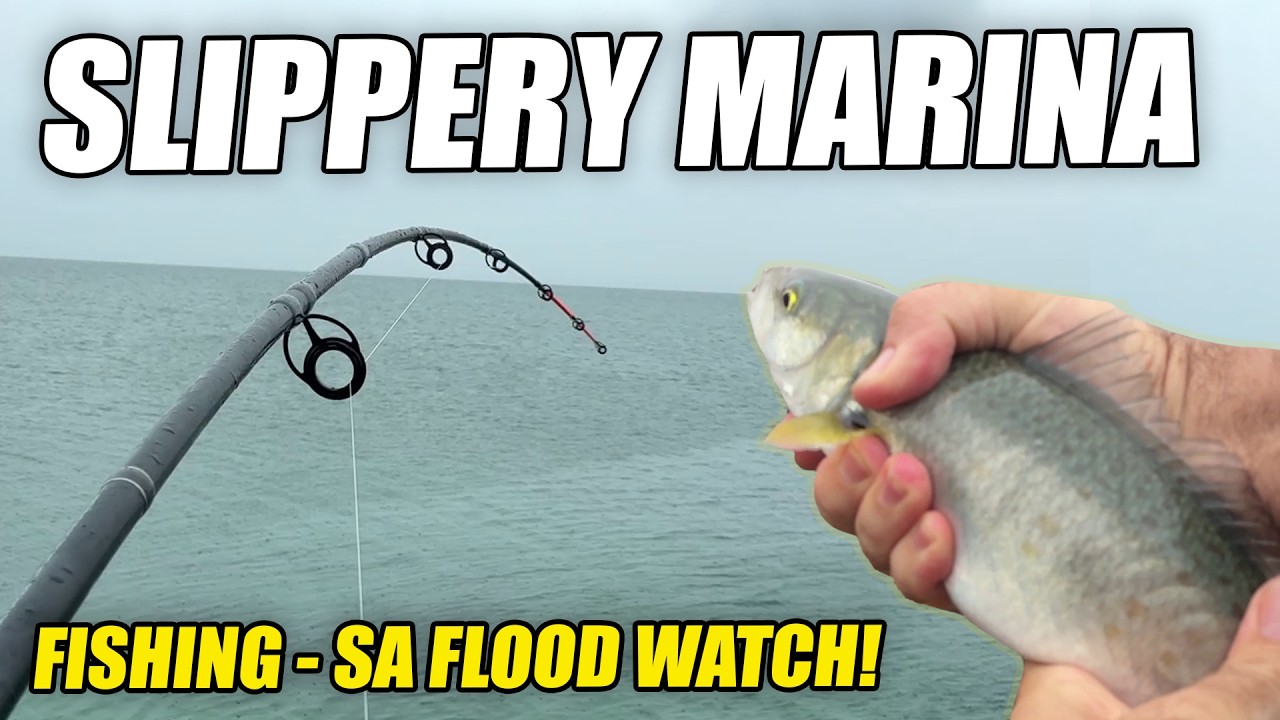 Slippery Rocks & Salmon: Fishing the SA Flood Watch