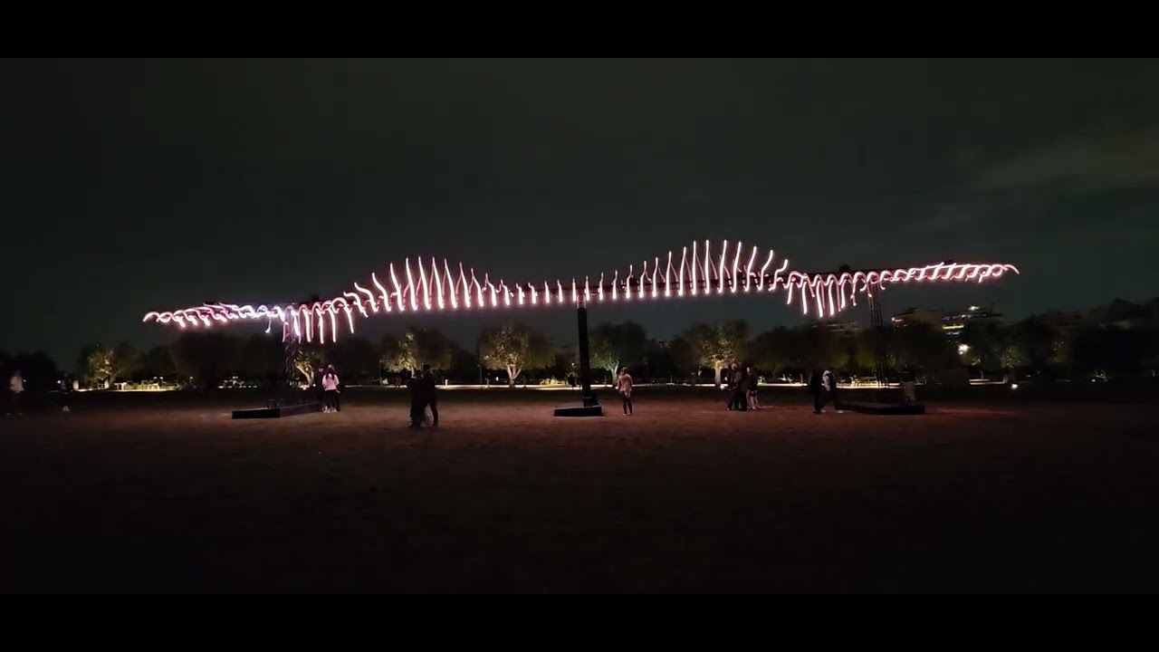 A bird passing by art installation at snfcc