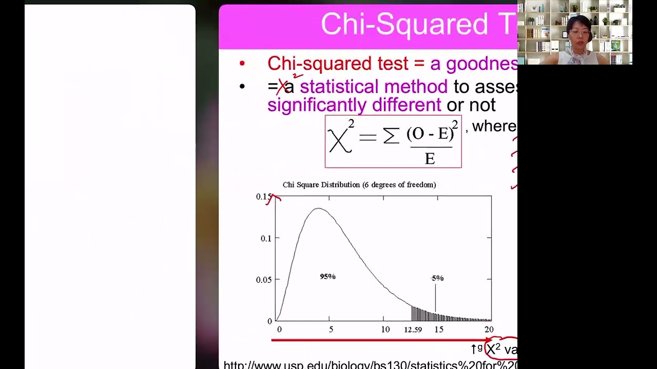Chi-squared Test | Lesson 16-10 | YH Ho