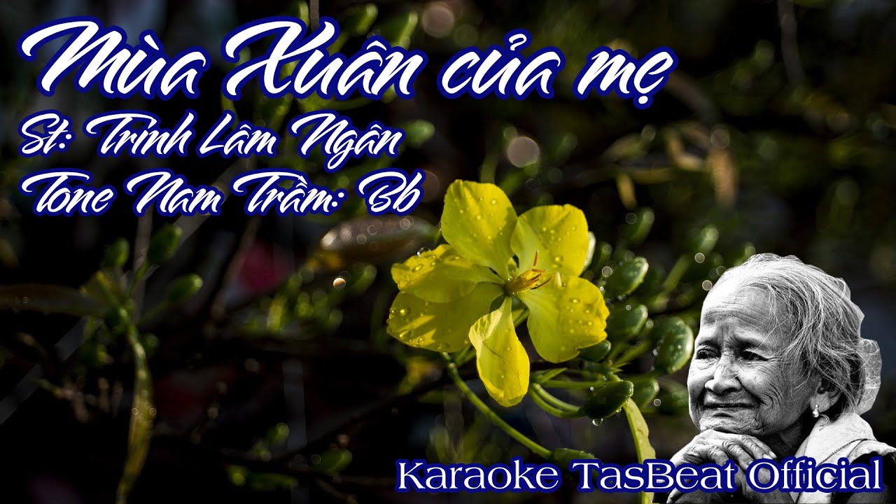 Karaoke M&ugrave;a Xu&acirc;n Của Mẹ  Tone Nam Trầm | TAS BEAT