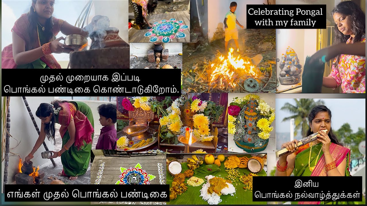 எங்கள் முதல் பொங்கல் பண்டிகை / Pongal Celebration 2026 / Pongal Kolam fun moments / Pongal 2026 