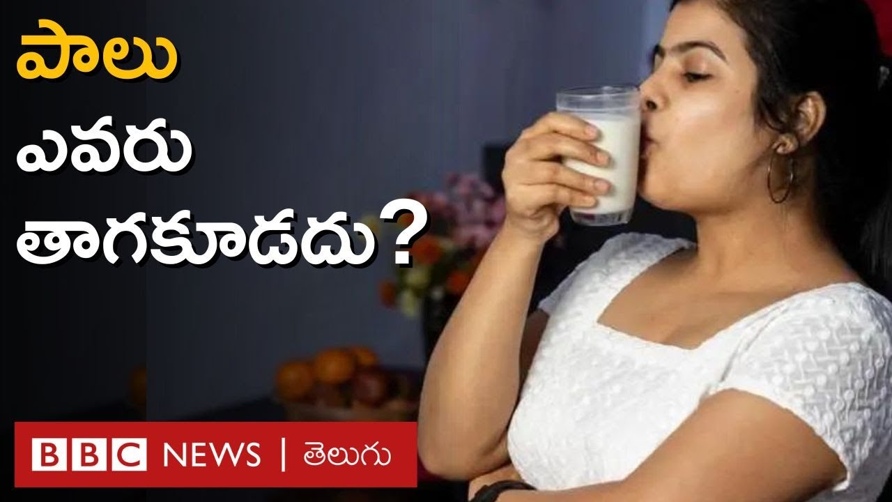 Milk: పాలు ఎవరు తాగొచ్చు? ఎవరు తాగకూడదు? | BBC Telugu