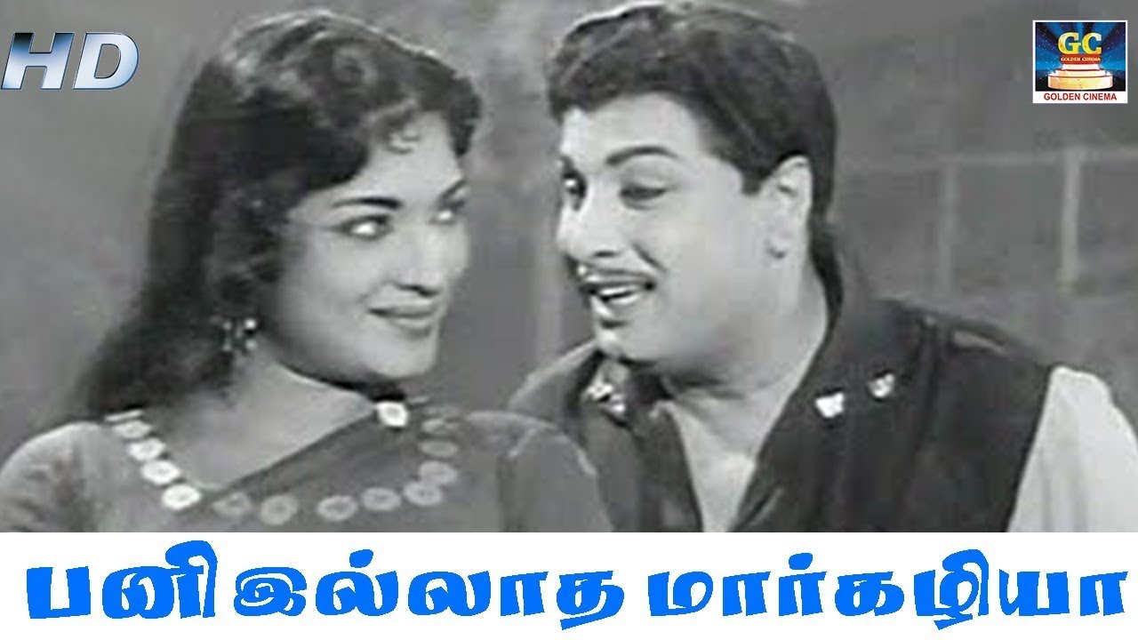 பனி இல்லாத மார்கழியா படை இல்லாத | Anandha Jothi | MGR | Goldencinema