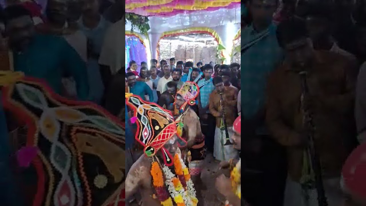 அருள்மிகு சொரிமுத்து அய்யனார் ஸ்ரீ முத்துப்பட்டவராயர் திருக்கோவில் கொடை விழா கே பி தளவாய்புரம் 2025