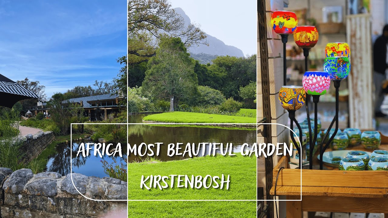 Kirstenbosh Garden: Africa's Most Beautiful Botanical Masterpiece !