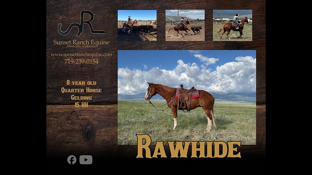 Rawhide
