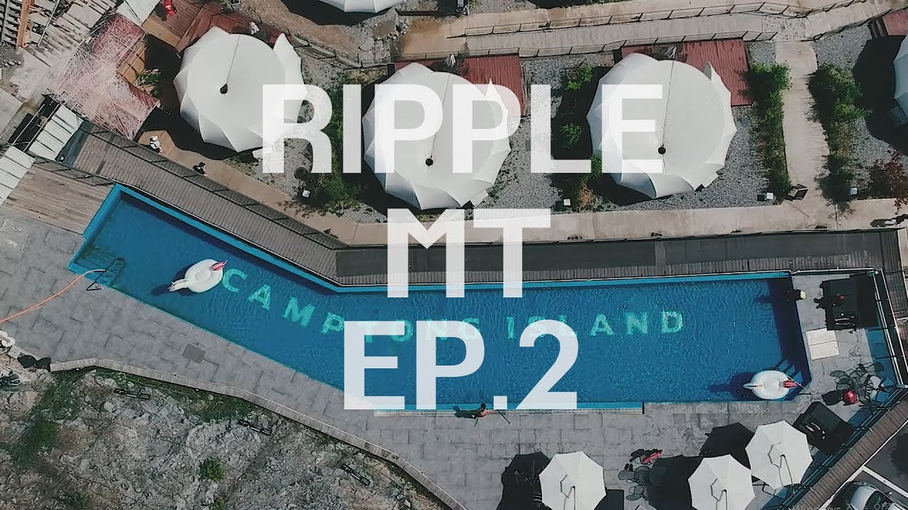 [리플] MT 그 두번째 이야기! 태풍 낙오자들에서 부르주아 휴가로 재탄생하다 | Ripple_S