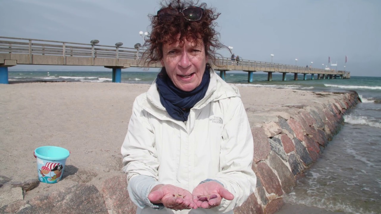 Strandsafari: Keschern in der Ostsee