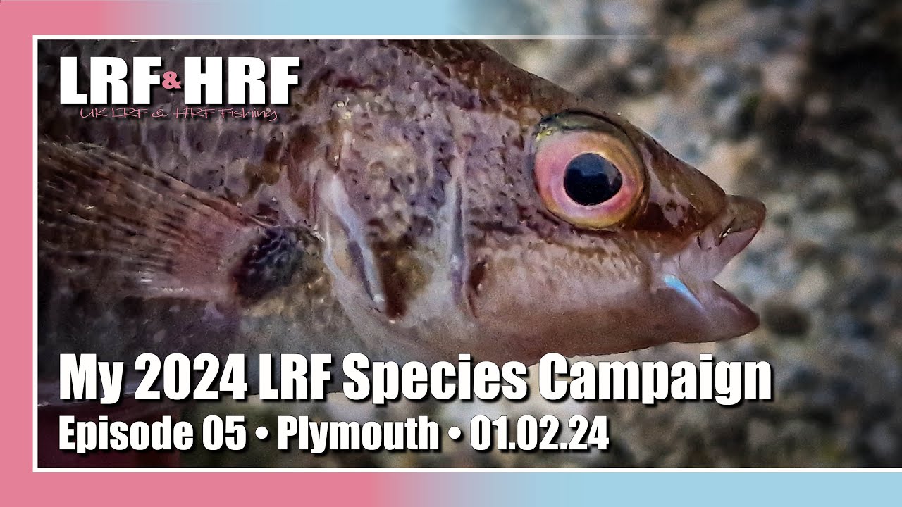 Episode 05: My 2024 LRF Species Hunt - Plymouth