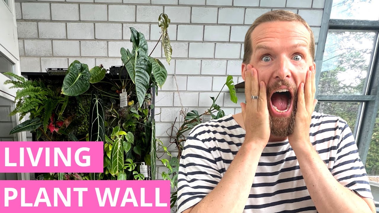 My DIY Living Wall  - Fully Automated and Plants Love It!