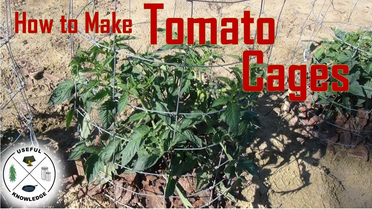 Homemade Tomato Cages | Useful Knowledge
