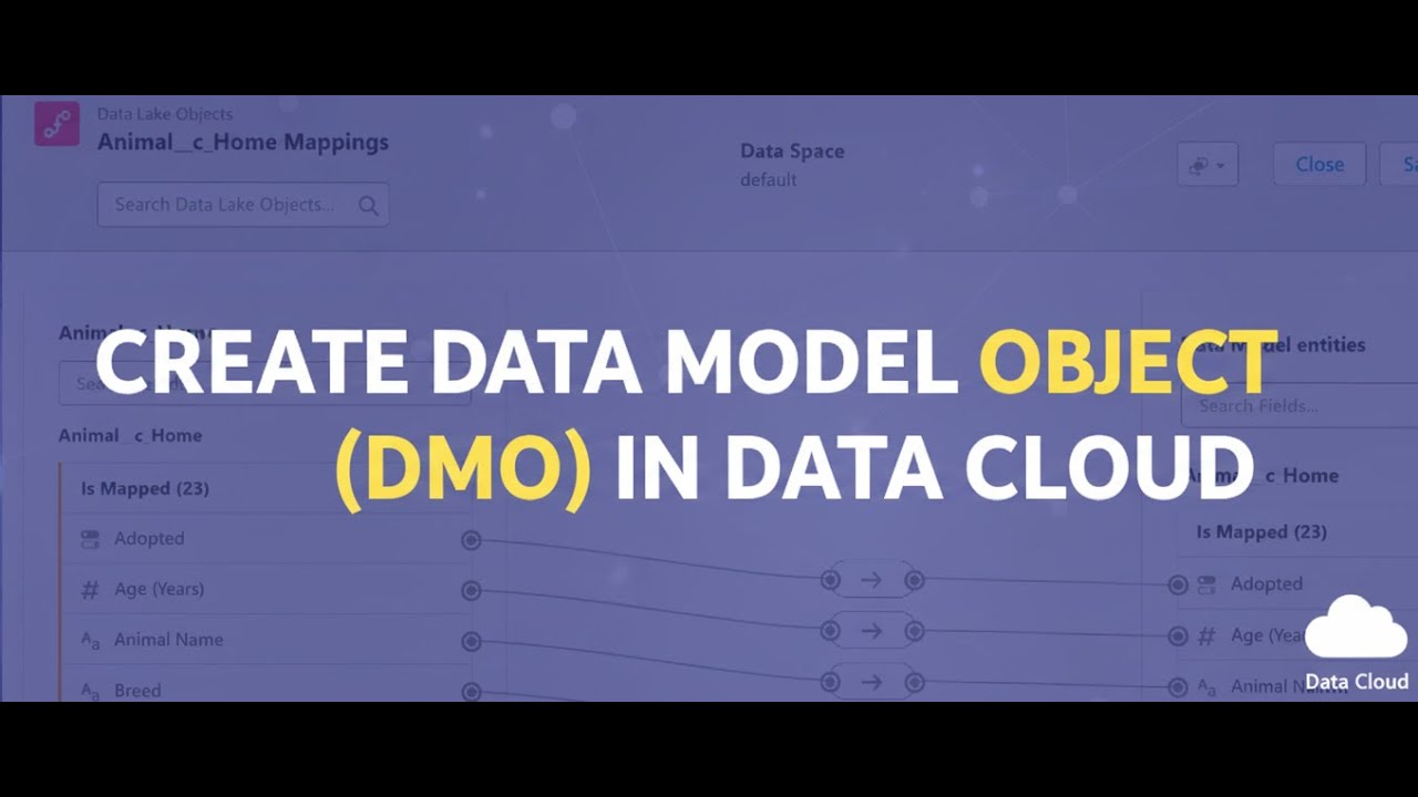 03:СОЗДАНИЕ ОБЪЕКТА МОДЕЛИ ДАННЫХ (DMO) В ОБЛАКЕ ДАННЫХ | СОЧЕТАНИЕ ПОЛЕЙ ОБЪЕКТА ОЗЕРА ДАННЫХ С ...
