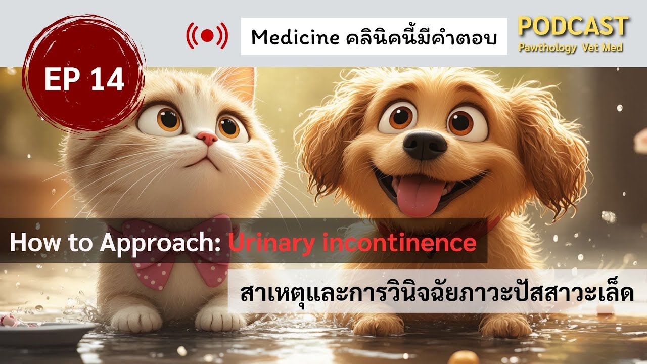EP 14 | แยกให้ออก! ฉี่เล็ดแบบไหน บอกโรคอะไรในน้องหมา? | อายุรกรรม