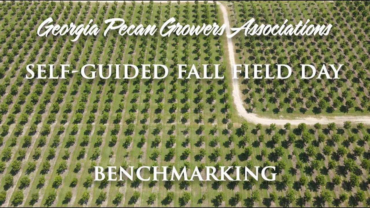 Fall Field Day 2021 - Benchmarking