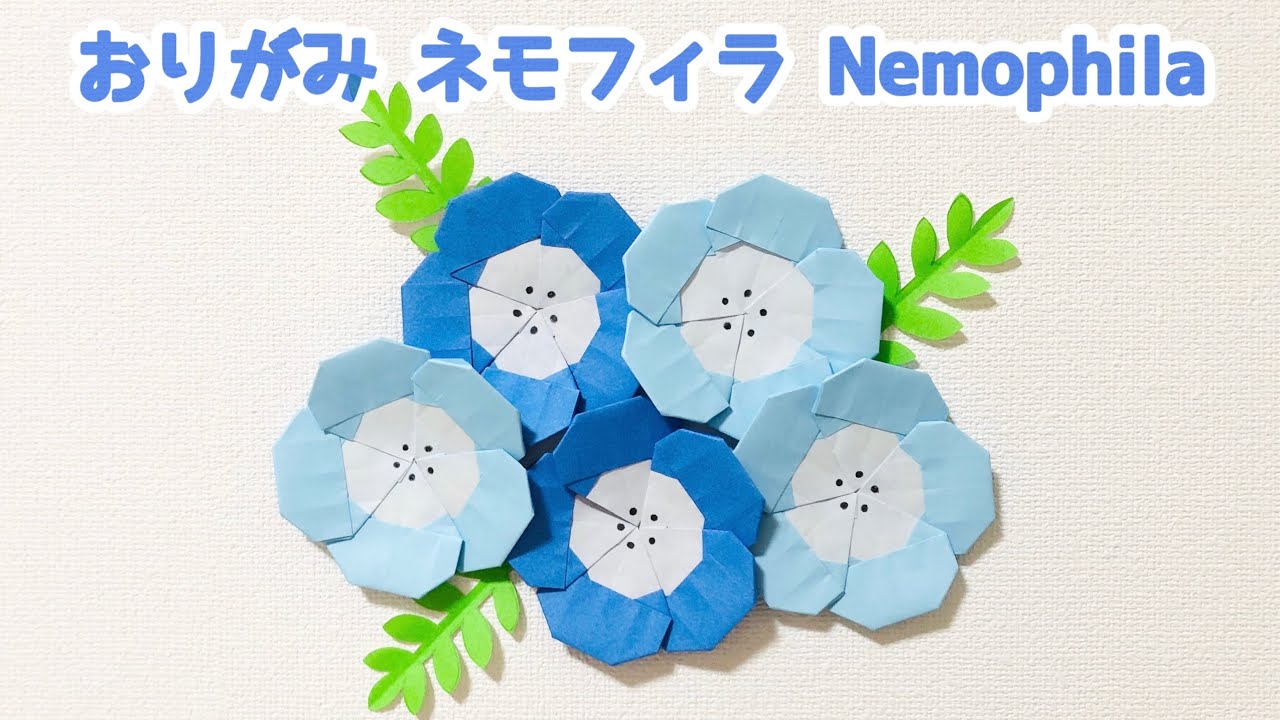 【折り紙】簡単 可愛い ネモフィラの折り方 ◇Origami Nemophila flower 春 青い花 フラワー◇