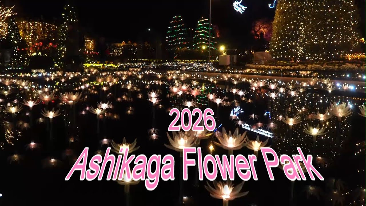 2026 あしかがフラワーパーク　光の花の庭 0