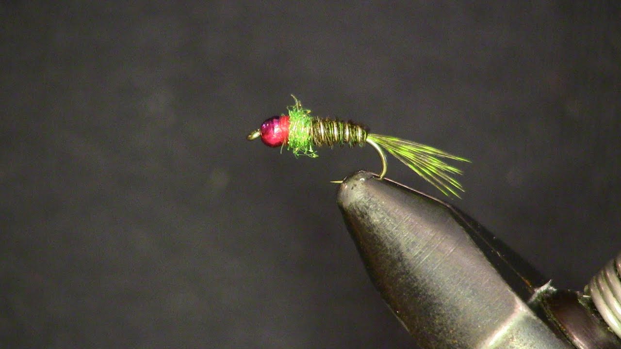 Olive Frenchie, Holsinger's Fly Shop