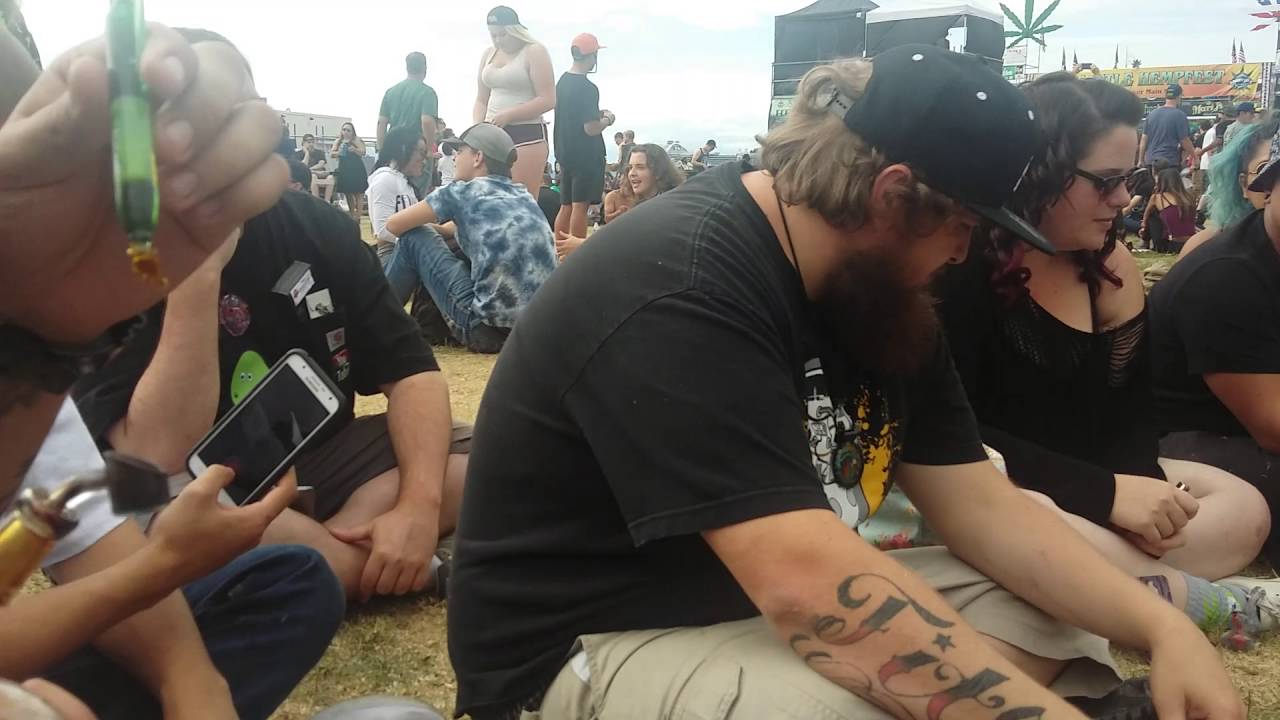 HEMPFEST/DAB 2016