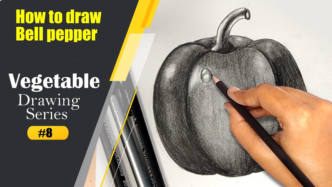 Online classes: How to draw bell pepper/vegetable drawing series#8