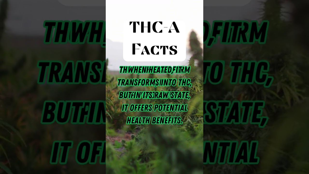 HEMP FACTS PART 3 #cannabisbenefits #cannabishealth #cannabisknowledge