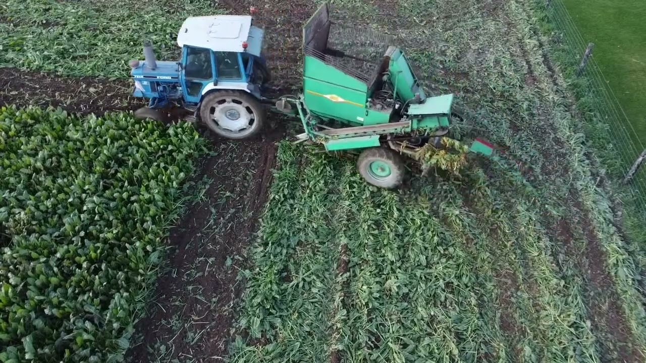 Ford 7610, armour salmon pulling beet 2024