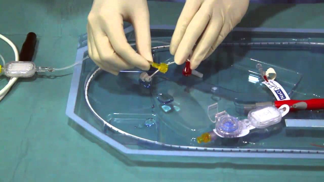 Componentes, montaje y simulación de Impella®