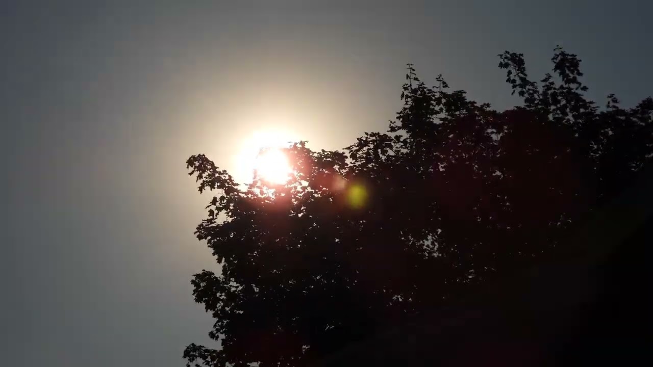 DSCN1527