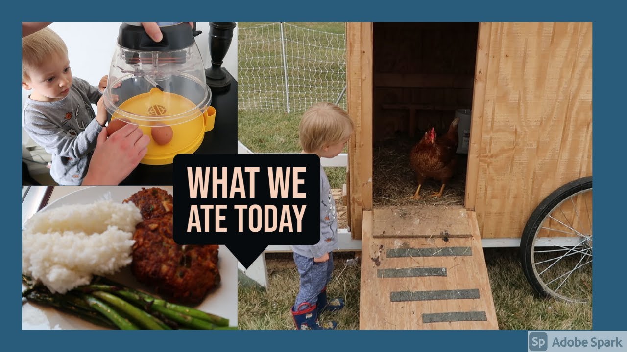 WHAT WE ATE TODAY || FREEZER AND PANTRY CHALLENGE DAY 7