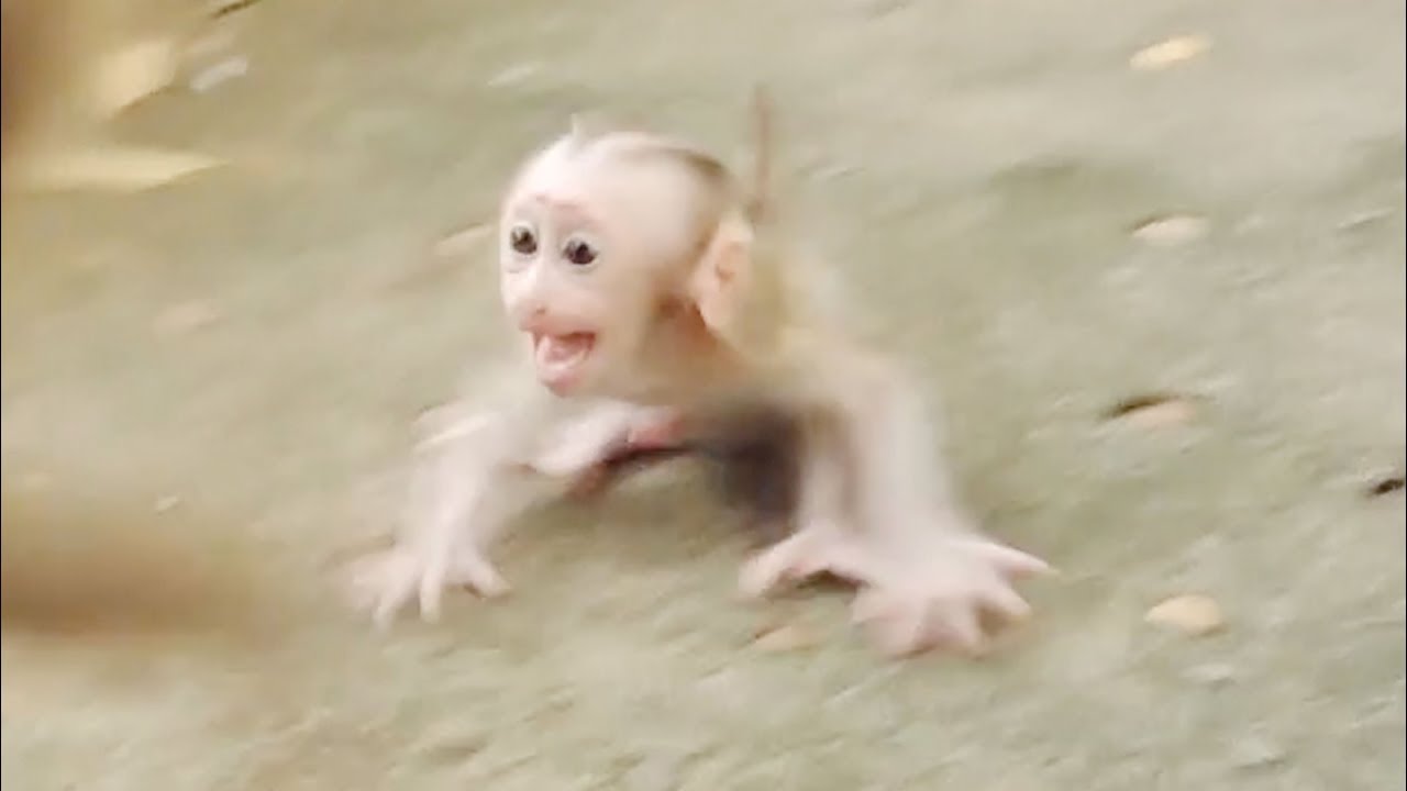 Super Crying Shaking Body Baby Mario So Scary Mama Marry Left Him Alone