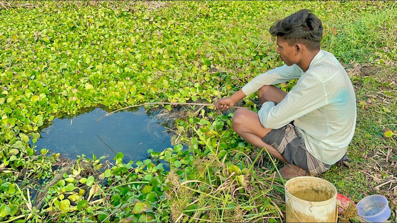 Amazing Hook Fishing 2026 | Village Smart Boy Catch Fish by Hook From Canal With Beautiful Nature