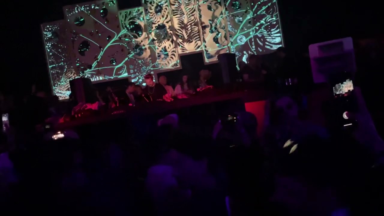 Sunwaves 30 [Ricardo Villalobos b2b Luciano]