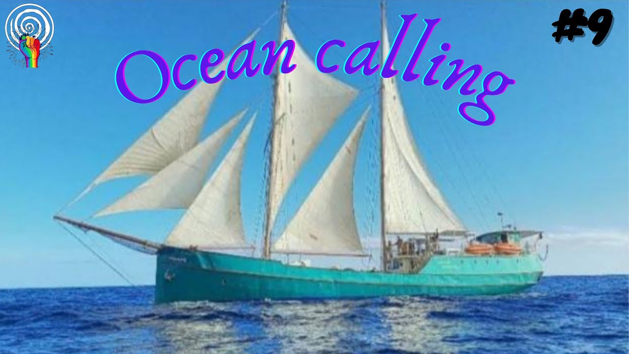 Conscious Revolution - Episode 9 | We found our dream! 😍⛵