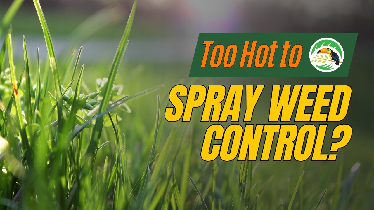 When is it Too Hot To Spray Weed Control